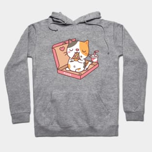 Cute Calico Cat Eating Pizza In Pizza Box Funny Hoodie